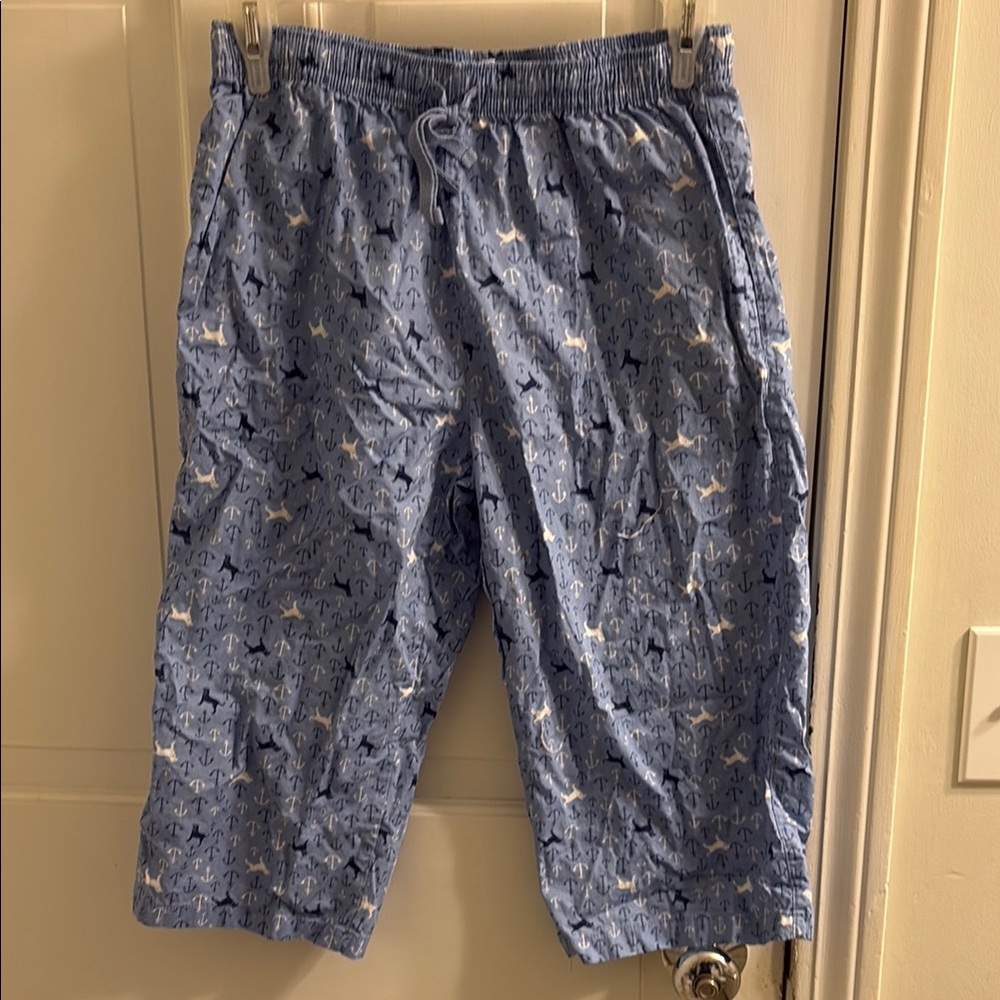 Blue Shark Print Men's Swim Shorts